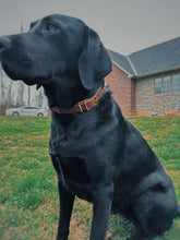 Load image into Gallery viewer, Tiktok Collar Exchange